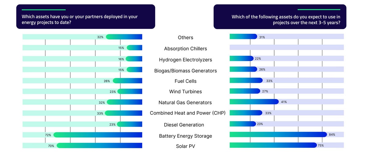 Photo of Harvey the Labrador 
